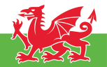 Krebsbachtal Welshponys